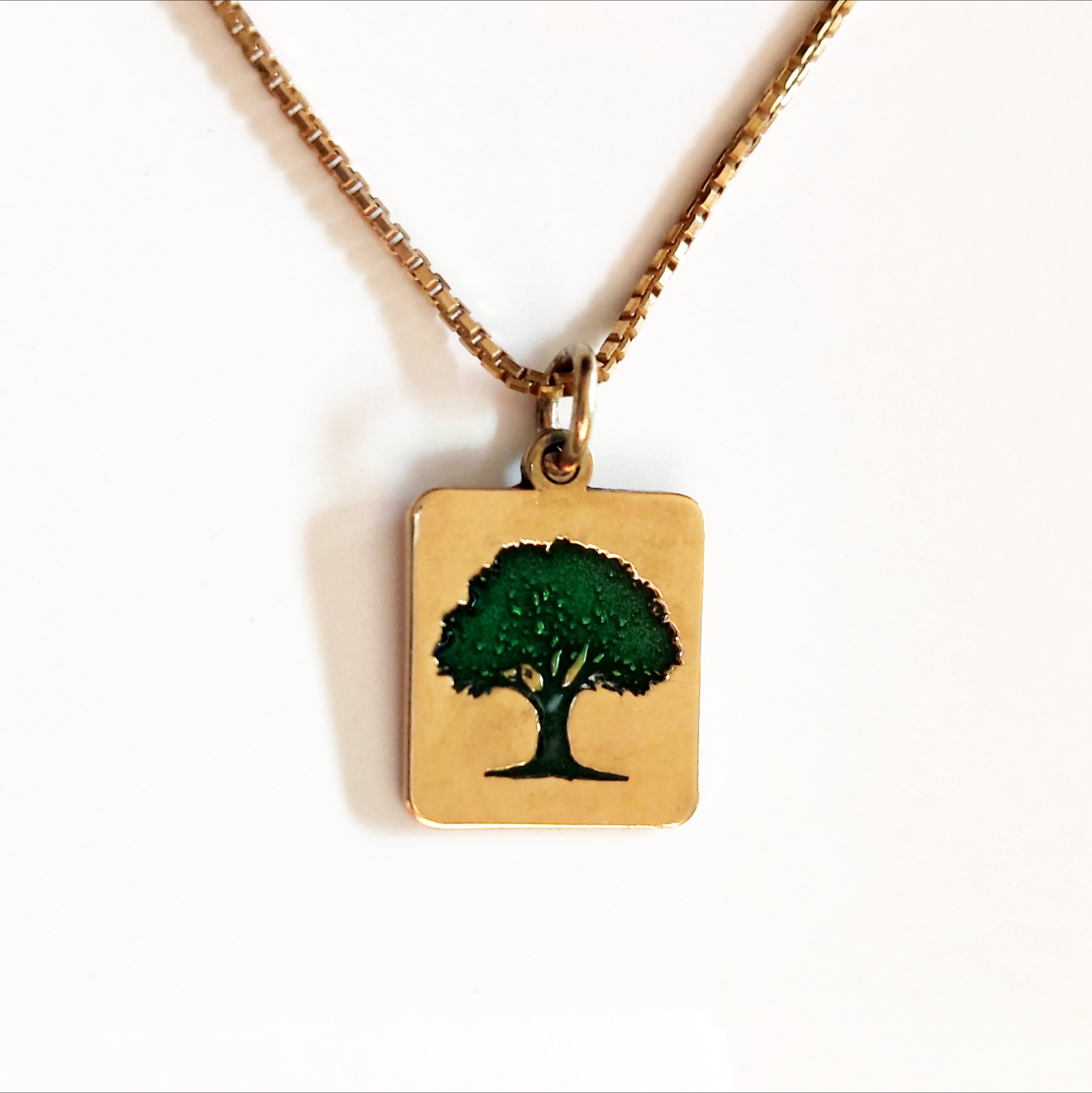 Olive Tree Necklace - Framed
